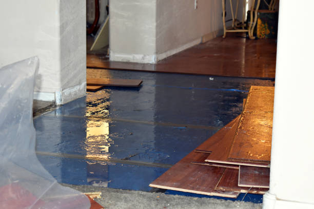 Professional Burst Pipe Cleanup technician working in Hillsboro, IL